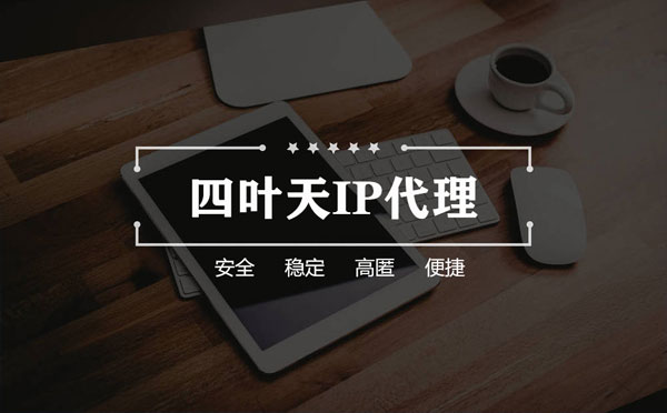 【西双版纳代理IP】如何快速搭建代理IP？怎么检查代理的效果？